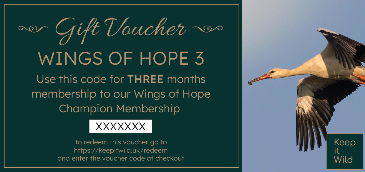KiW Gift Voucher WoH3X v2