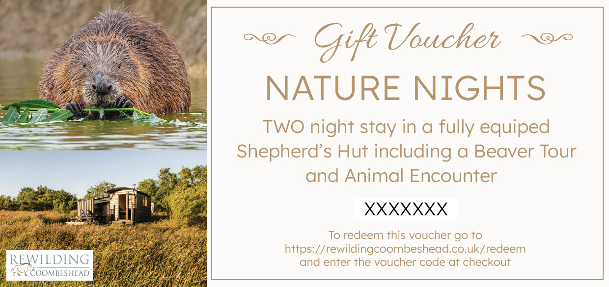 RWCH Gift Voucher SH v1 XX